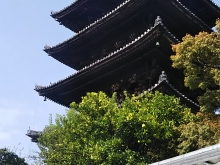 八坂の塔　近
